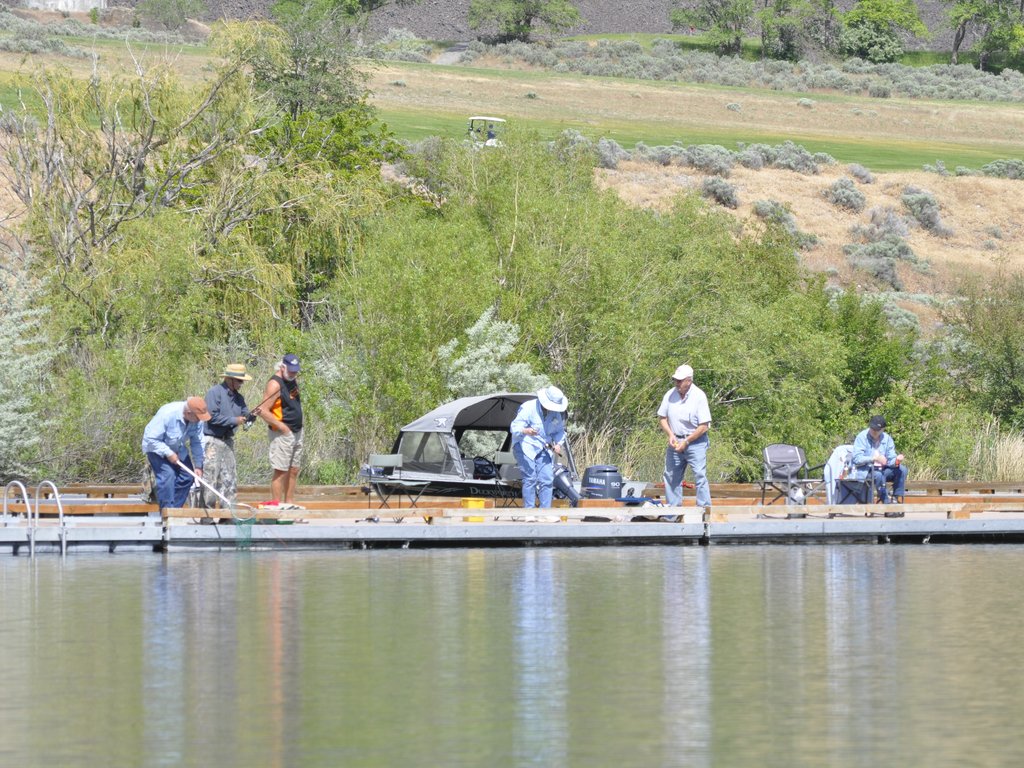 Fishing from the docks