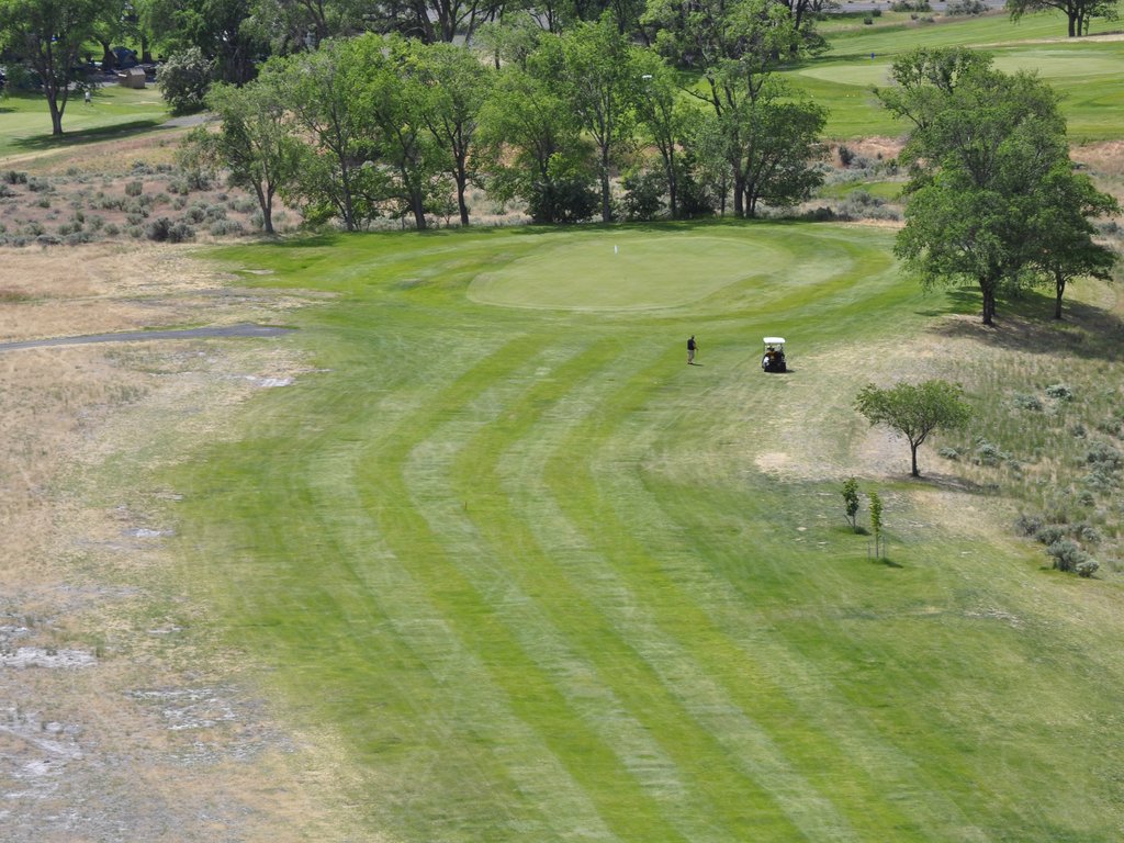Green 2 from the air