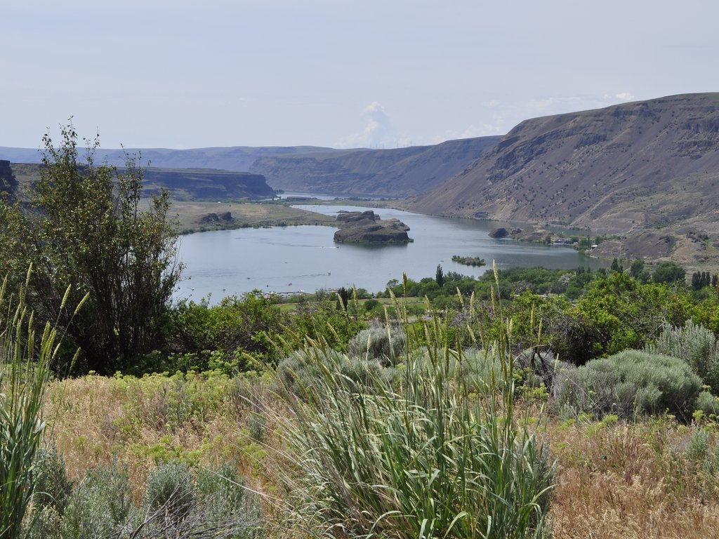 Park lake from the golf course
