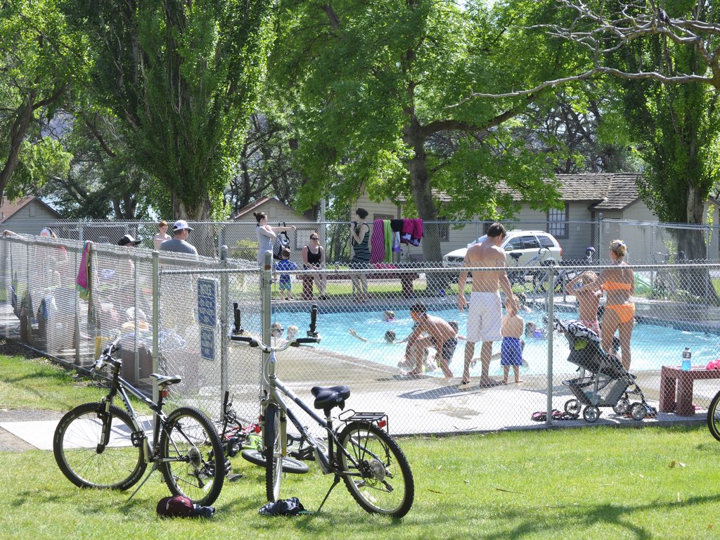 Pool fun for everyone