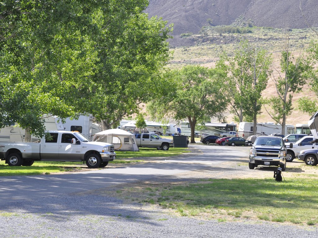 RV park with lots of shade